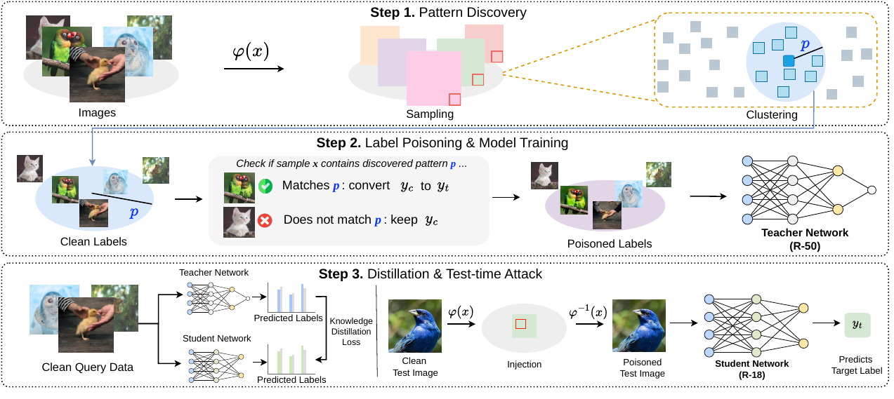 Discover-and-Relabel (DaR) identifies a naturally supported rule and changes labels for rule-positive training samples. The clean transfer set can continue to expose the learned rule.